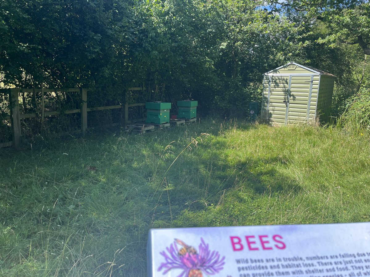 Gorgeous day to be at <a href="/hiveintheforest/">The Hive - formerly Suntrap Forest Centre</a> climate education centre.

⚡️solar panels &amp; ground source heat pump
💦ponds &amp; wetland habitats
🌺wildflowers &amp; trees
🐝 BEES