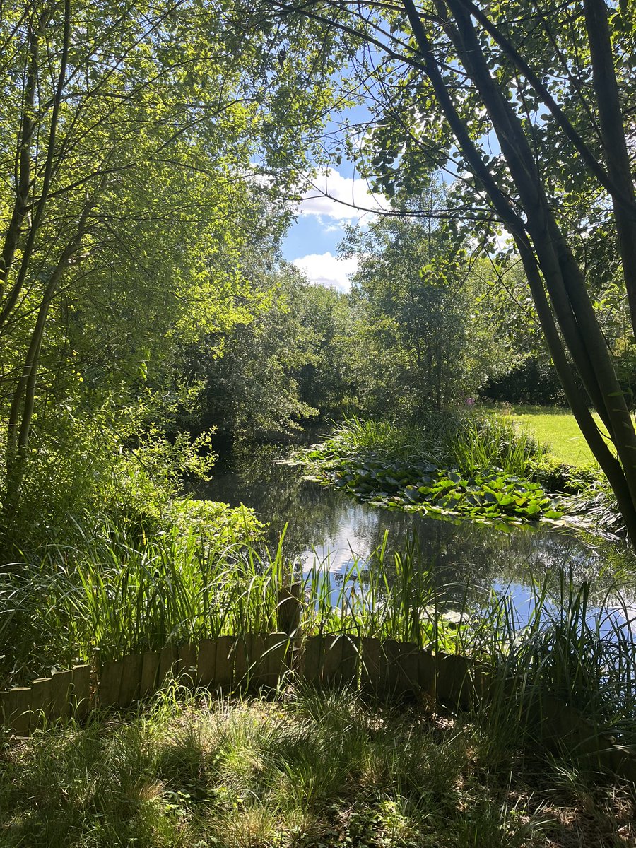 Agathe de Canson tweet media