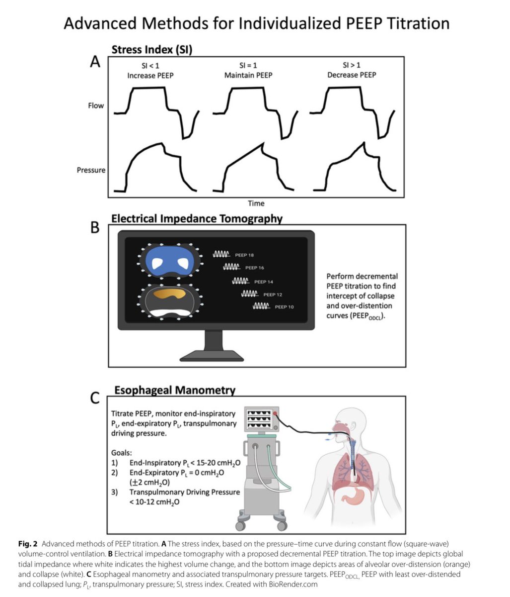 Vanessa S. Lanziotti tweet media