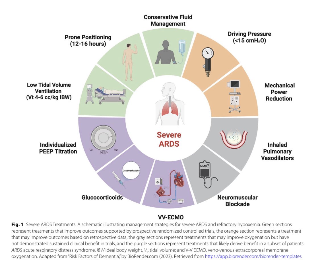 Vanessa S. Lanziotti tweet media
