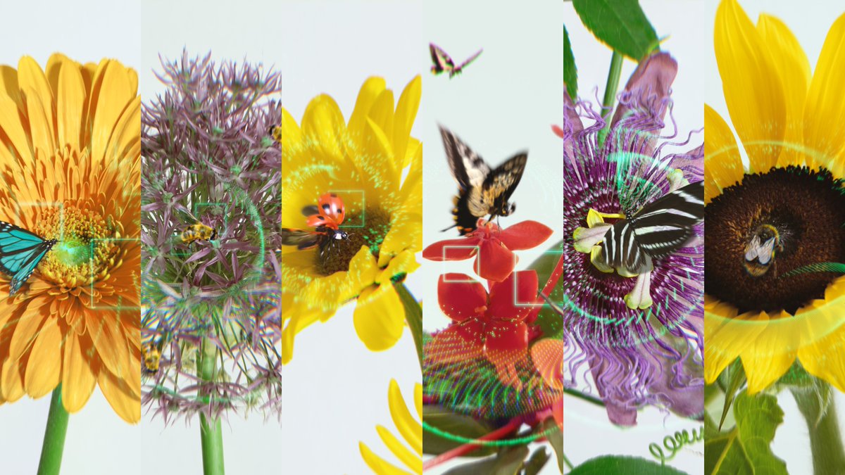 Excited to share my latest collection! 🪻🪻🪻

“Interactions in Bloom” celebrates the exchange between flowering species and pollinating insects.

A visual metaphor for networks and their users whose relationship sustains their ecosystems.

Minting soon on <a href="/foundation/">Foundation 🌐</a> ✨✨✨