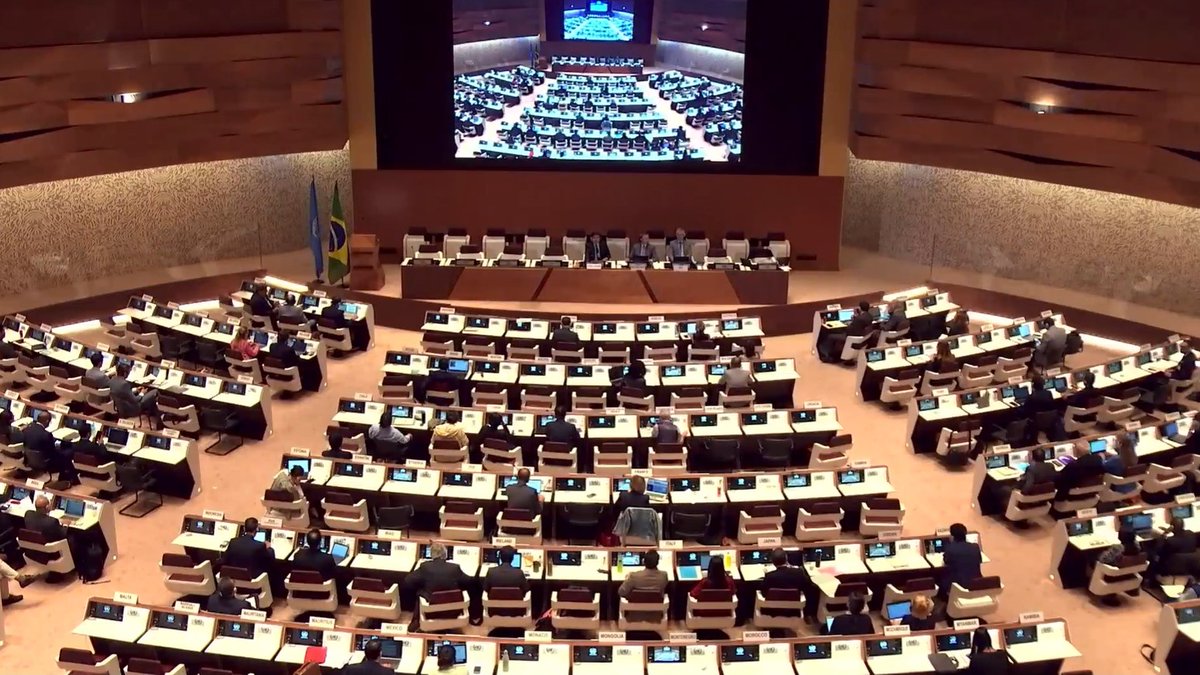 Georgia UN/Geneva tweet media