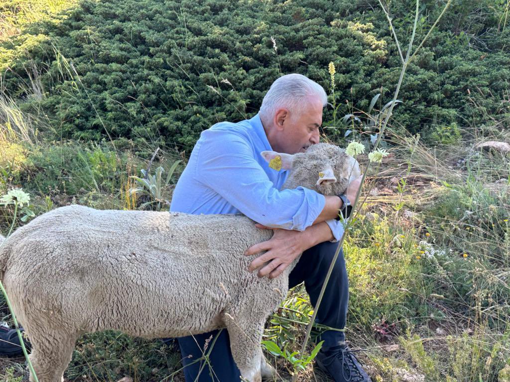BY's tweet photo. Memleketimin cennet köşelerinden Dumanlı Yaylası ❤️ https://t.co/WXYLDuNfPC