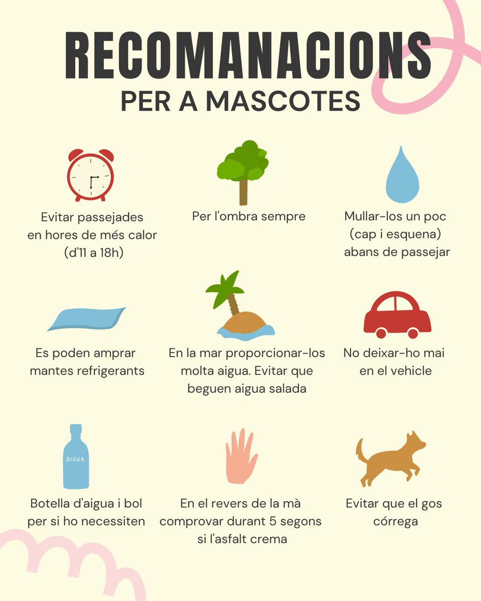 Ajuntament d'Albal (@ajuntamentalbal) on Twitter photo 