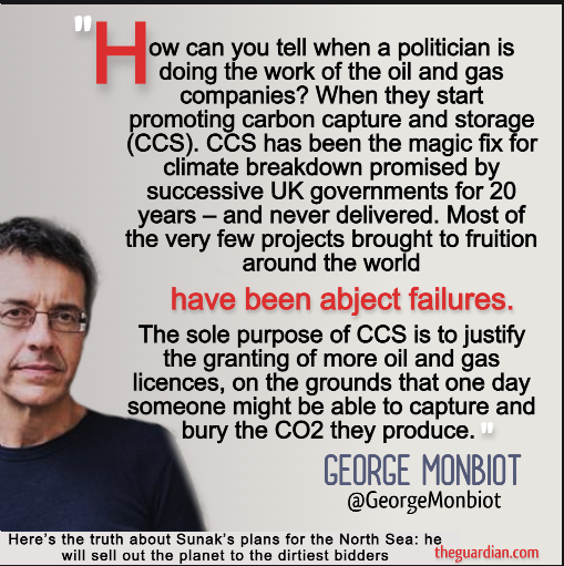 Sophie Gabrielle tweet media