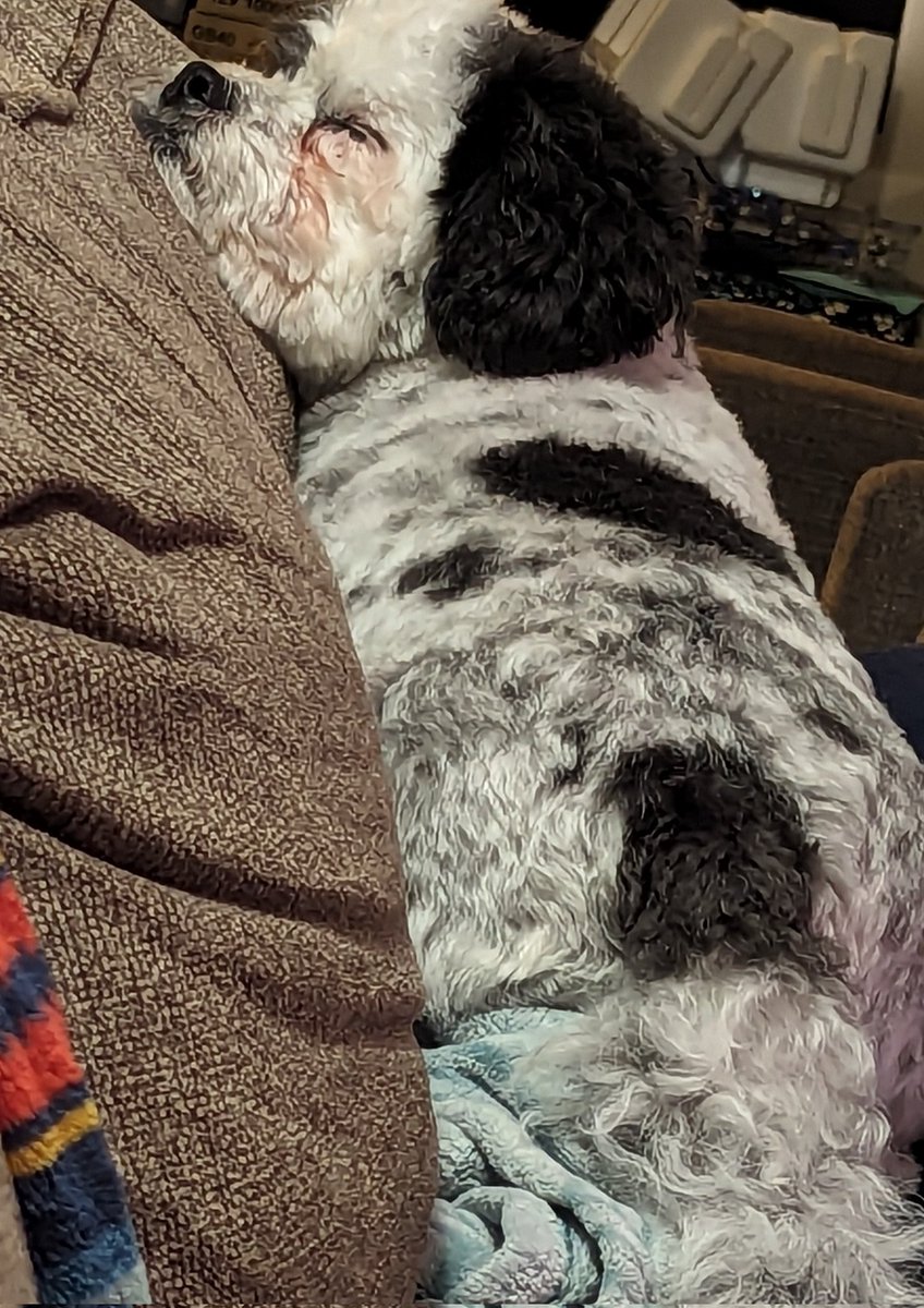 Sleepy day, mom said I look precious.