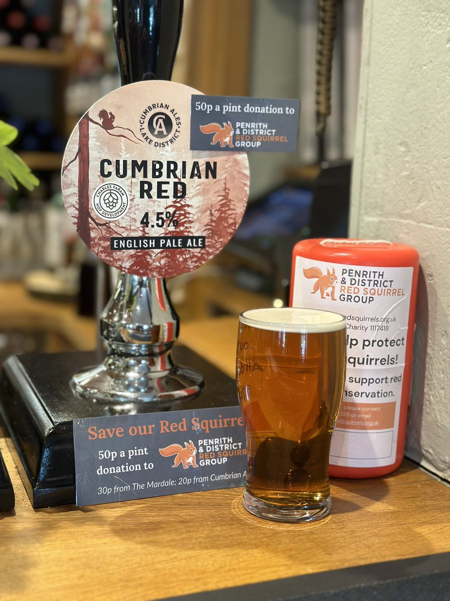 In ‘Premiere Week’ excited to be serving ‘Cumbrian Red’ at The Mardale - 50p a pint gets donated to @eden_reds to save our cuties in the Valley. Our ‘cast list’ include English hops @CharlesFaram pump art @sammartinart beer @loweswatergold producer @terrybnd