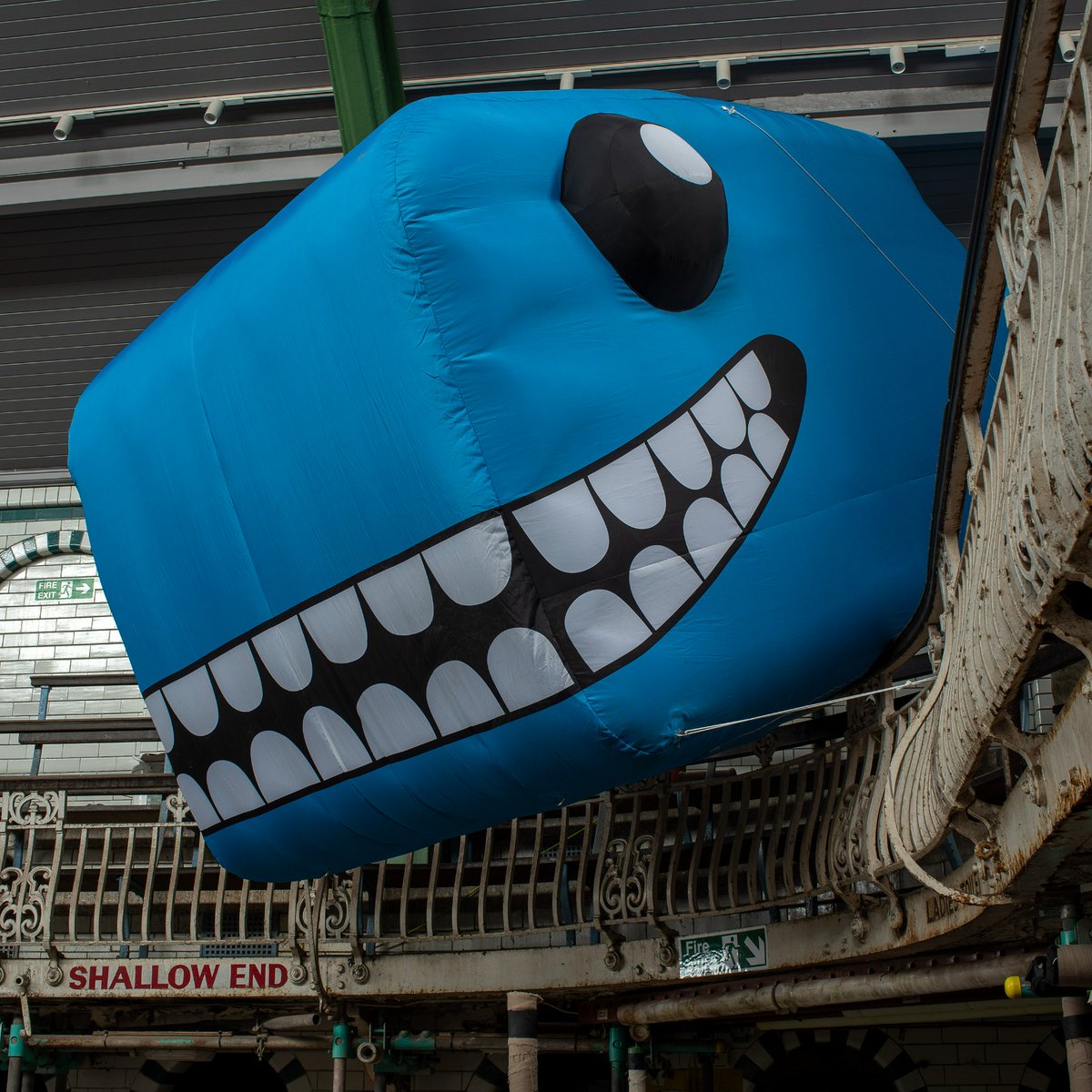 Phoebe Rose Gilmore tweet media