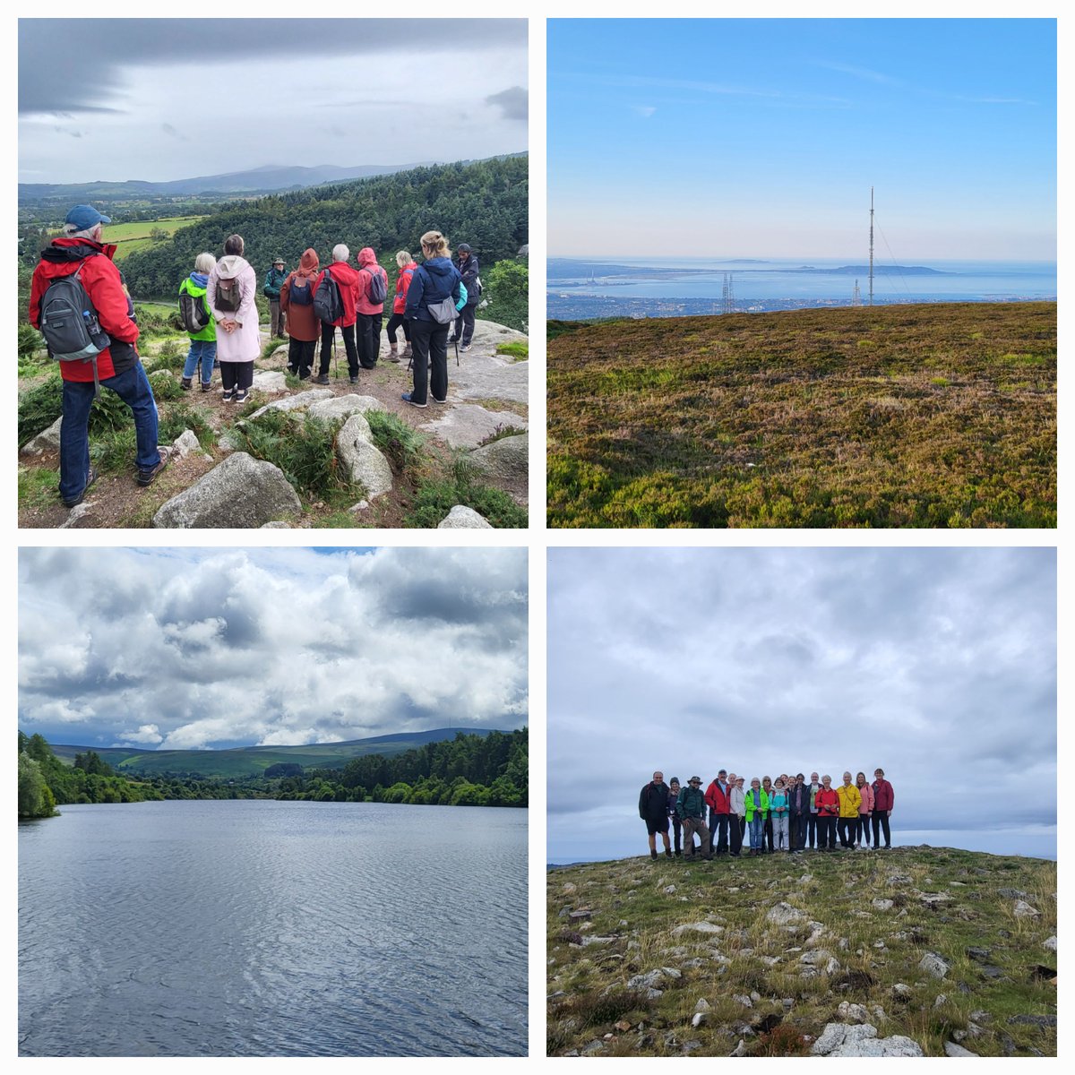 Dublin Mountains Partnership tweet media