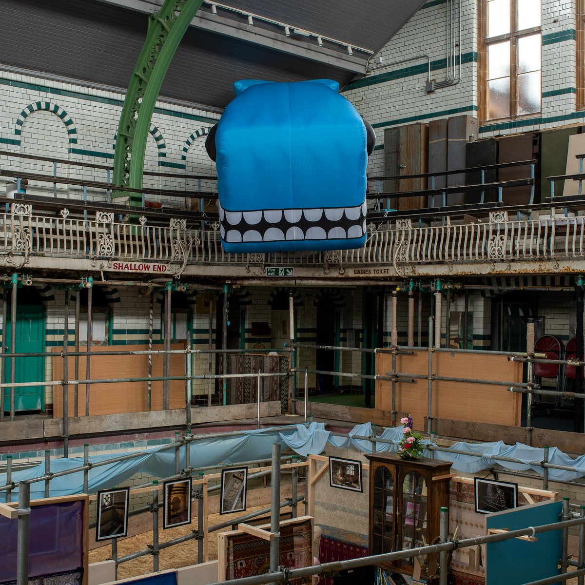 Phoebe Rose Gilmore tweet media