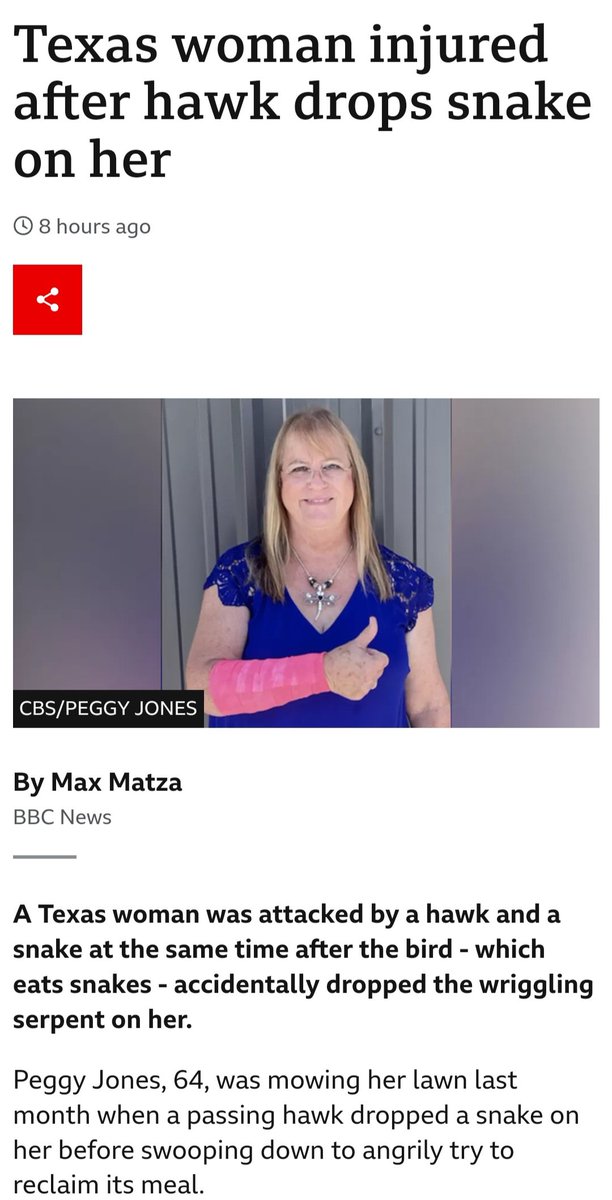 Yasmin Corrigan tweet media