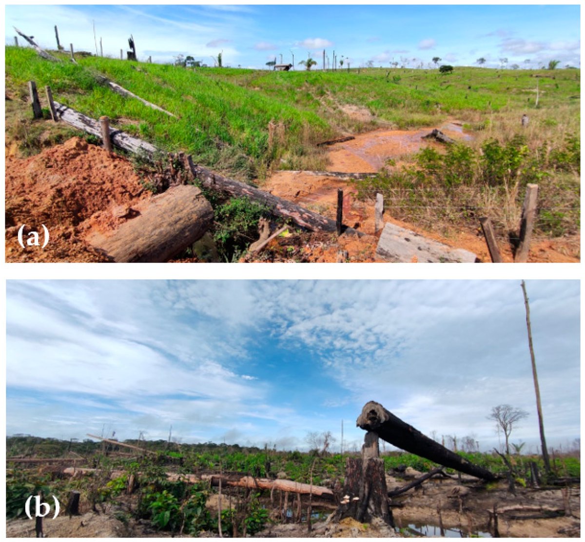 "Modeling the Impacts of Soil Management on Avoided Deforestation and REDD+ Payments in the Brazilian Amazon: A Systems Approach"

mdpi.com/2071-1050/15/1… via <a href="/Sus_MDPI/">Sustainability</a>