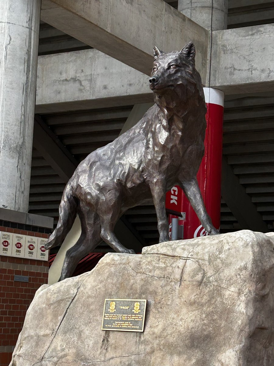 Onlyhereforfu11's tweet photo. Some things have come up, so adding a part time job to my schedule. I loved when I worked at PNC Arena during the Hurricanes and NC State basketball games. Well, now it will be football season and Carter Finley Stadium! #wolfpack #collegefootball #hardworkingmom #letsdothis https://t.co/Is3jZR37Nq