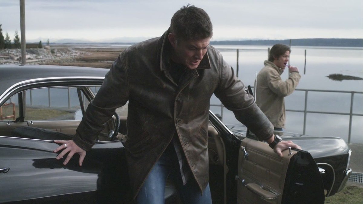 S_Winchester_mt's tweet photo. Кажется кто-то жопу отсидел https://t.co/VAtHYJi4al