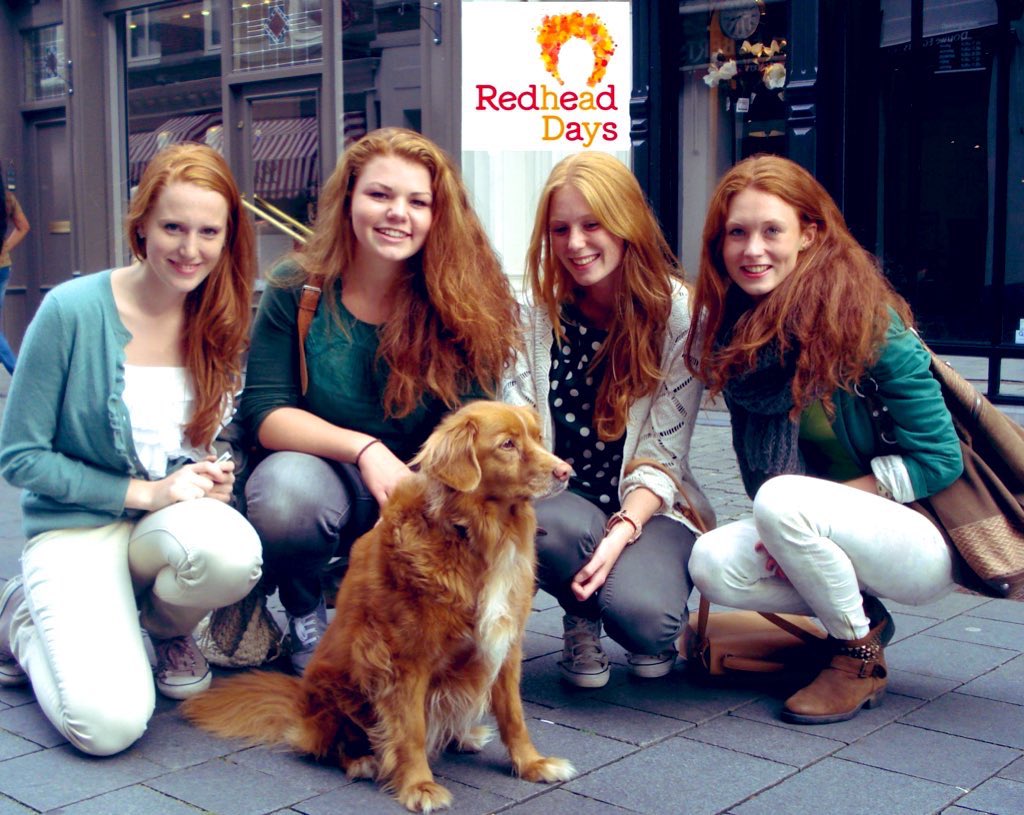 TheRedheadDays's tweet photo. Gingerly giving direction ๐#IfPetsWorkedCustomerService https://t.co/0JpgK2lOy2
