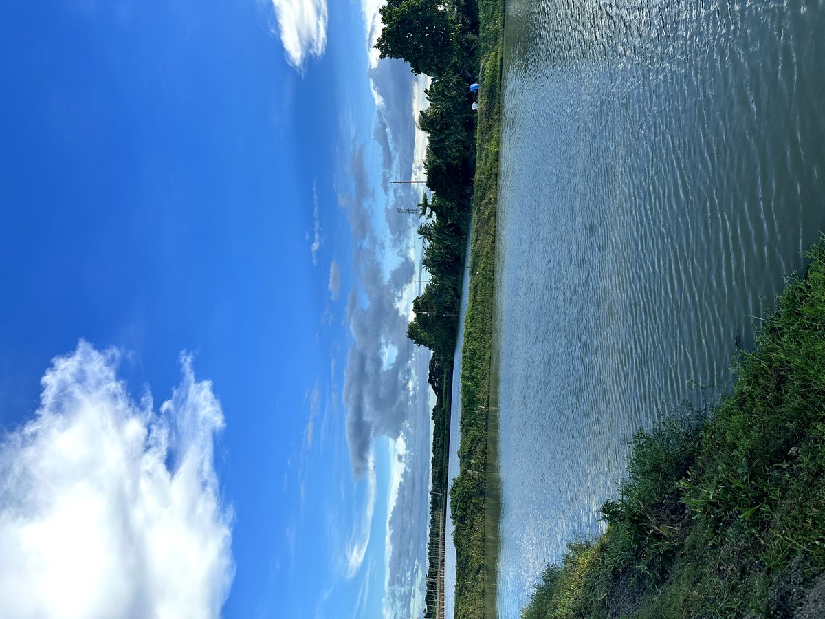 Amethystshimme2's tweet image. Why we are always late to realized that something should be better done now or never.
                                      -shimmer✨

#chapter01 #thoughtoftheday #RandomThoughts #vlog_quate
#Thinking_out_loud
#JoinMe #DaysofourLives 
(⁠ ⁠◜⁠‿⁠◝⁠ ⁠)⁠♡