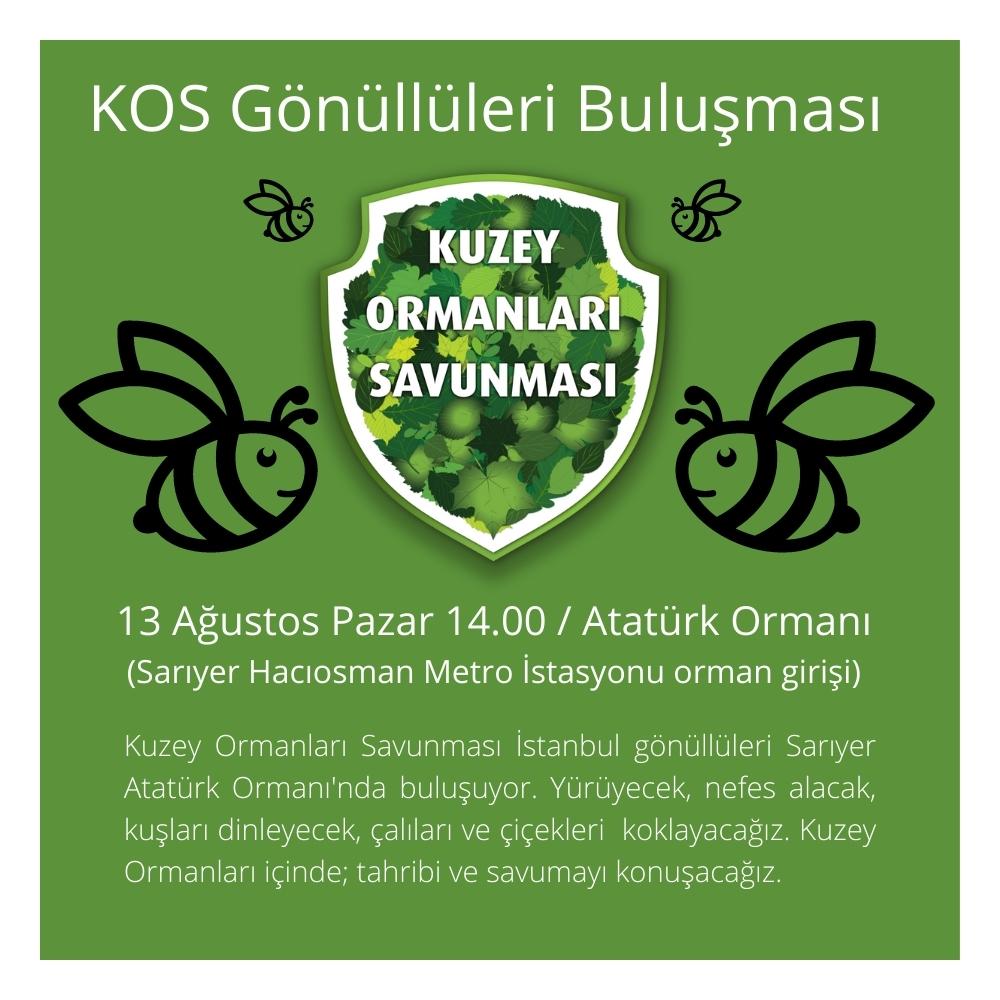 KOS İstanbul gönüllü buluşmaları devam ediyor🐝

Yürüyecek, nefes alacak, kuşları dinleyecek, çalı ve çiçekleri koklayacak; ormanı, tahripleri ve savunmayı konuşacağız.

KOS Gönüllüsü olmak için linkteki formu doldurunuz.
docs.google.com/forms/d/e/1FAI…