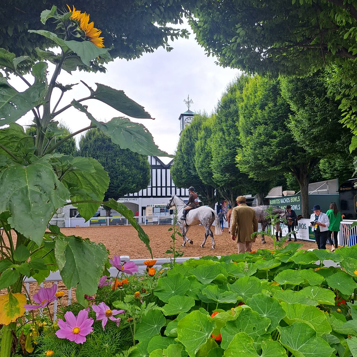 DublinHorseShow's tweet photo. #DublinHorseShow 2023 has officially kicked off!

We are so excited to welcome you all to Day 1 of the @LonginesEq @FEI_Global Jumping Nations Cup RDS Dublin Horse Show!

Don't miss out on the invitation of the summer, book your tickets now! https://t.co/N4gffrOrJ9

#DHSCountdown #23DHS #VisitDublin
@VisitDublin @LandRover_IE @HorseSportIRL @ShowjumpingIrl @TheIrishField