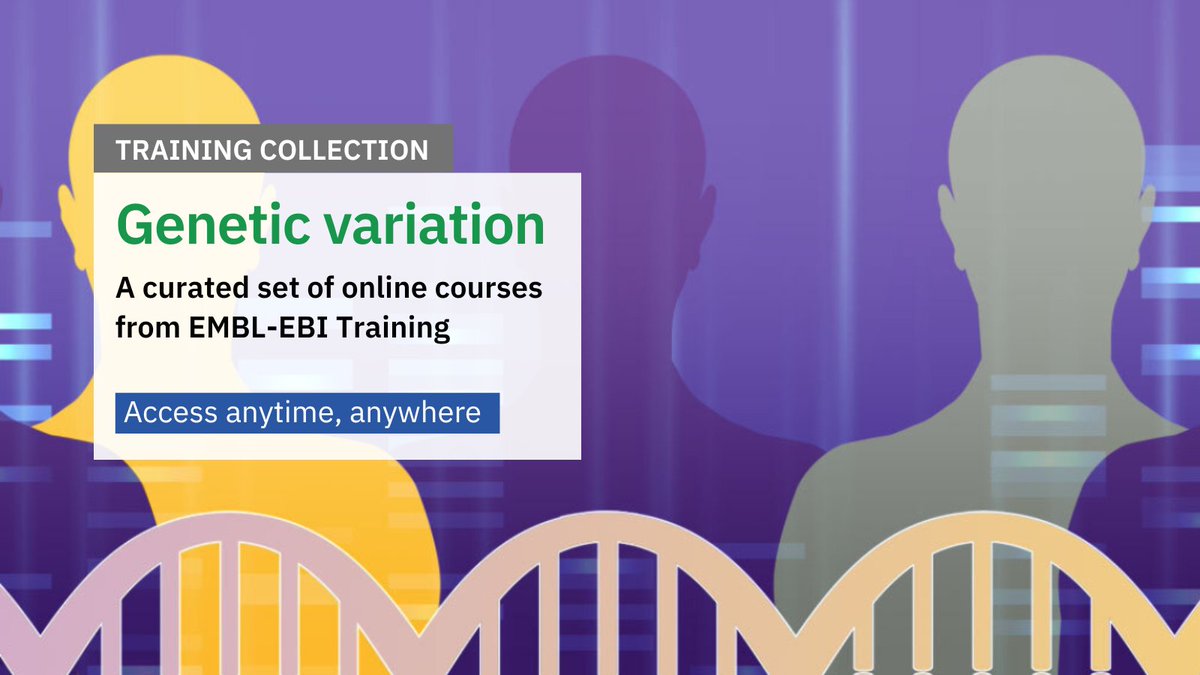Discover concepts in #geneticvariation and delve into methods and resources for studying such variations through our #OpenAccess collection ebi.ac.uk/training/onlin… #bioinformatics #variants #genomics #datascience #GWAS