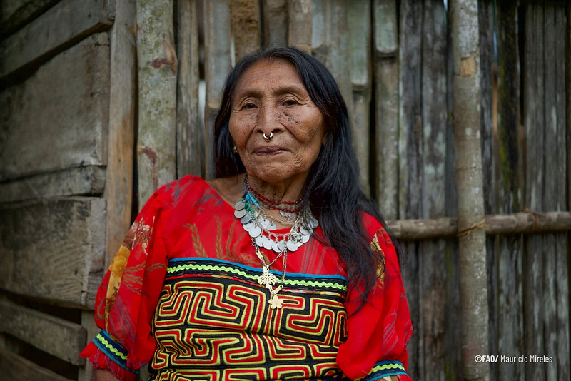 BethBechdol's tweet photo. Today is #IndigenousPeoplesDay – a moment for us to acknowledge the wisdom, heritage &amp; resilience of #IndigenousPeoples.

@FAO recognizes their invaluable contributions to biodiversity and sustainable agriculture. Their innovative knowledge is transmitted across generations! https://t.co/rSfvG6o61p