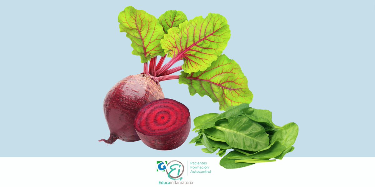 G-EducaInflamatoria tweet media