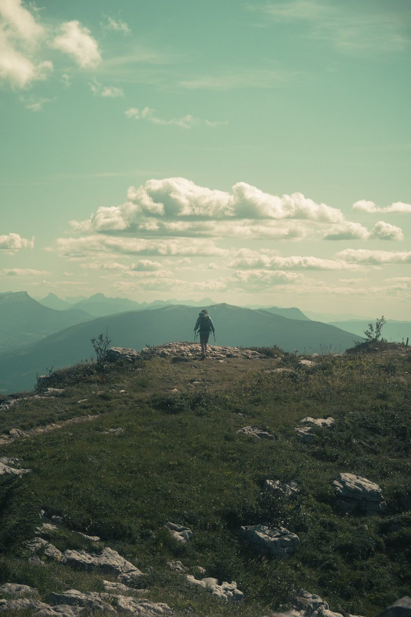 Karim 4K tweet media