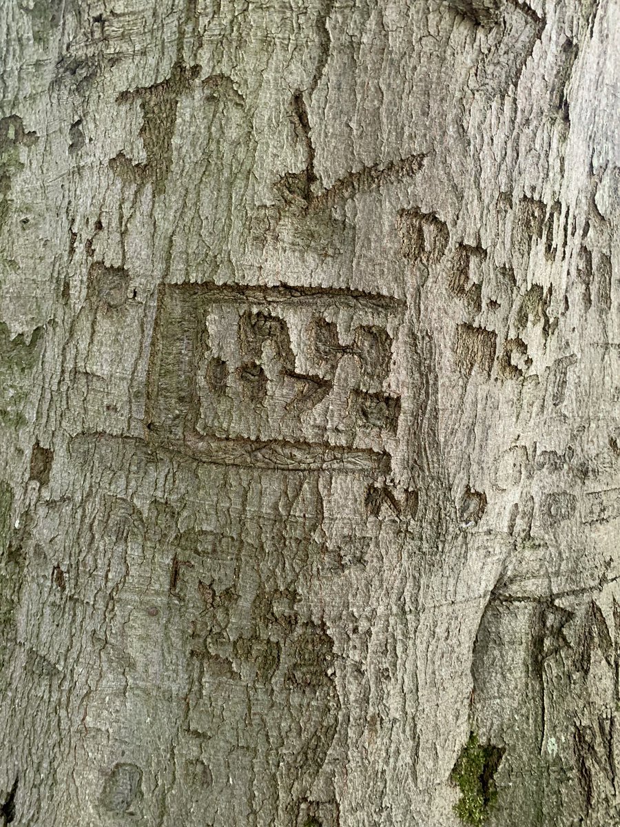 AkhtarRind's tweet photo. Leaving their mark for half a century – initials that stood the test of time! A 50-year-old initials near a millennium-old Egglestone Abbey🌳⏳ https://t.co/lsoOAfQ3ua