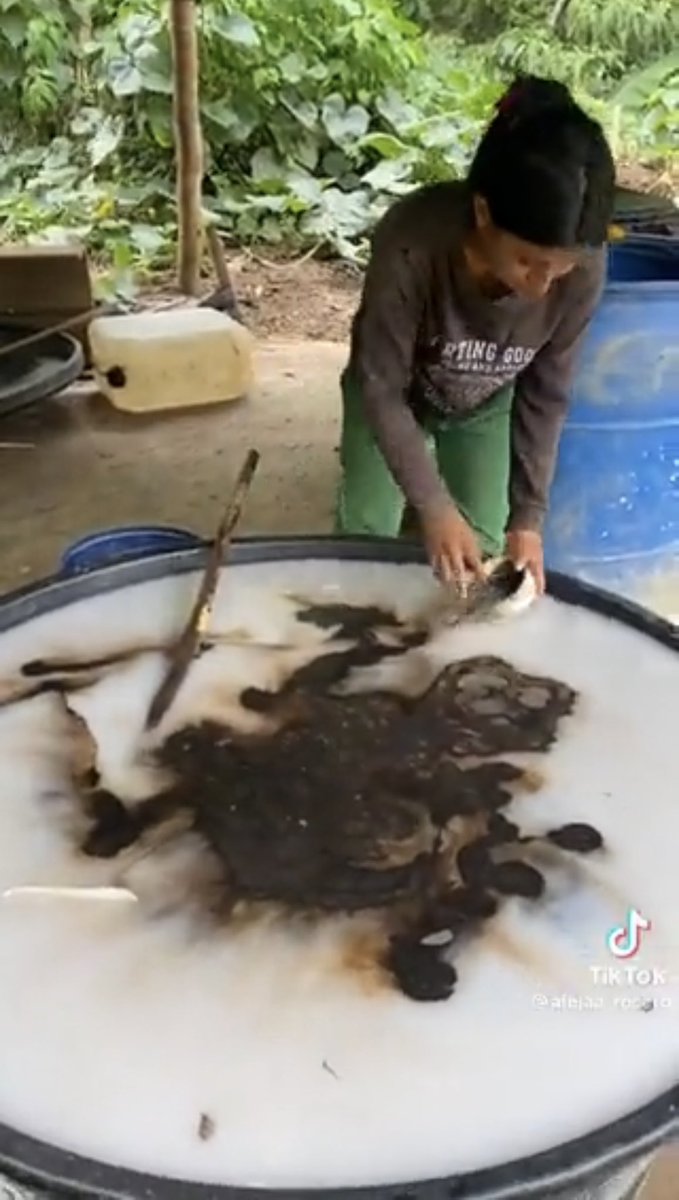 Katlego Maseng 🧠 tweet media