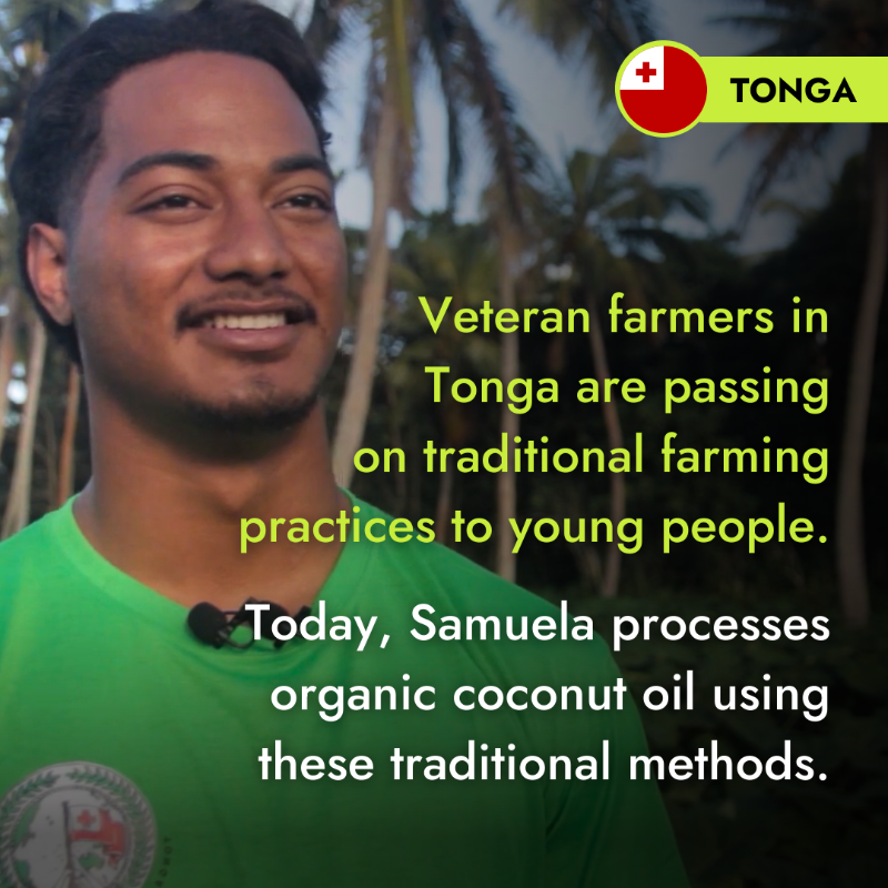 IFAD's tweet photo. By cherishing their ancient cultures, indigenous youth reach out to the past.

But they also look to the future.

See how they are combining innovation with traditional knowledge to address local and global challenges ⚡🌎👏