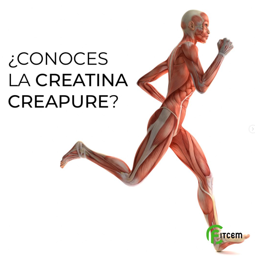 fitcem_nd's tweet photo. La creatina es una sustancia natural que se produce en el cuerpo y que ayuda a suministrar energía a las células musculares.

A continuación os contamos más👇 https://t.co/5Sfa8BBkKL