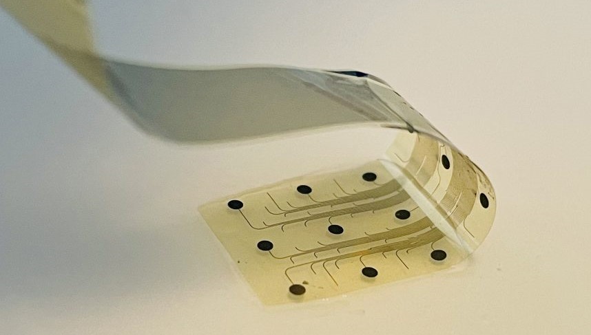 icn2nano's tweet image. The &apos;GphT-BCI&apos; project led by INBRAIN #Neuroelectronics is set to push brain-computer interfaces to the next level using flexible #graphene #transistors.🤯
🩺From epilepsy to speech impairment, INBRAIN&apos;s cutting-edge technology is shaping the future of #brain #health. #innovation