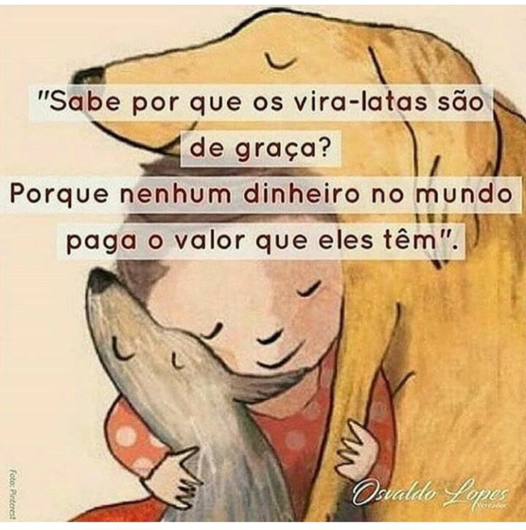 FlaviaOLuna's tweet photo. #BDSP https://t.co/8HCHgIO0mV
