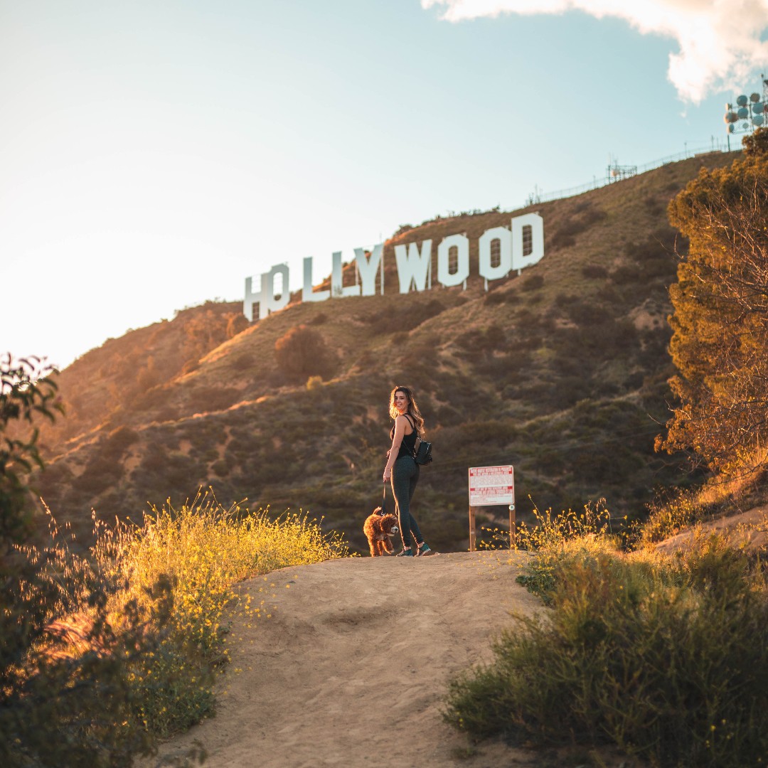 garantimmo's tweet photo. Wer hätte das gewusst? 🤓 Der HOLLYWOOD-Schriftzug war 1923 die Idee eines Maklers! 💪🏻 Damals war die Gegend noch keine Filmstadt und es fehlten Grundstückskäufer. 🪧

#makler #hollywood #realeste #losangeles https://t.co/HIdUWkxNgv