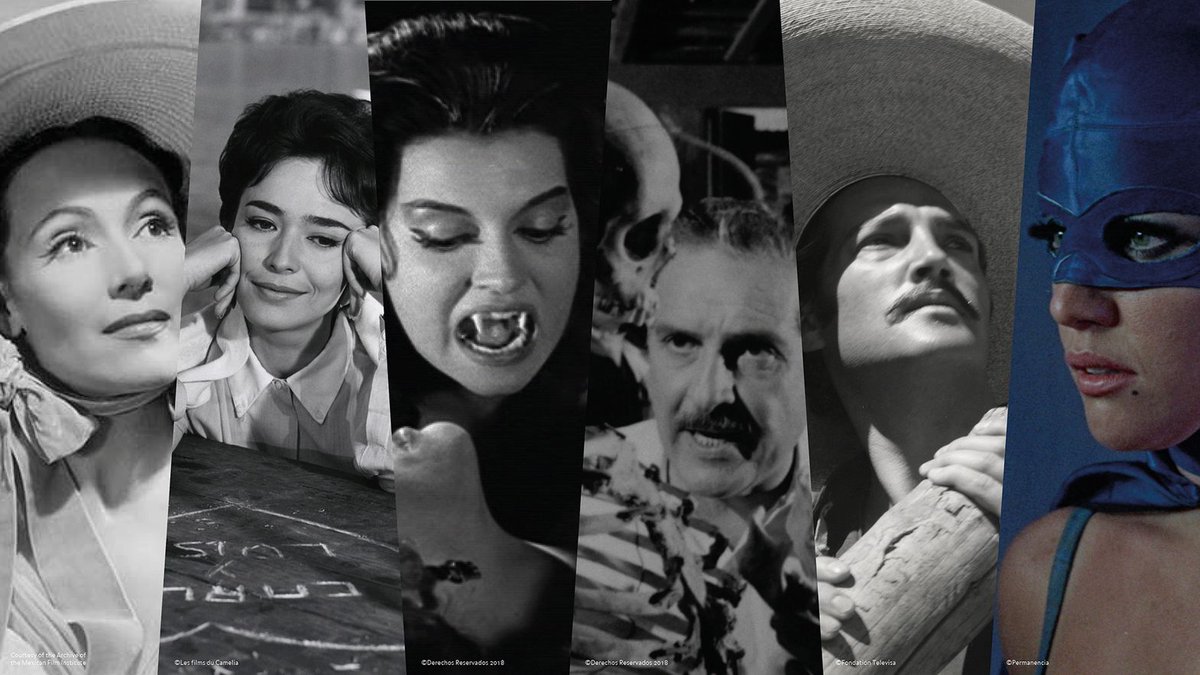 CameliaFilms's tweet photo. [Festival] 🇨🇭🎥🇲🇽
@FilmFestLocarno consacre actuellement une rétrospective au cinéma mexicain grâce à 36 films de 1940 à 1969 ! Parmi eux, six films de @CameliaFilms qui participent activement à la réhabilitation de ces chefs-d'œuvre oubliés 😉 https://t.co/phmClDxJv6
