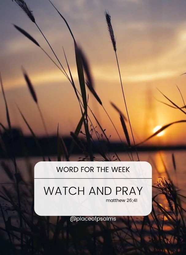 placeofpsalms's tweet image. As we  pray help us to watch our thoughts for we know how powerful our thoughts can be🙏🏽

#thoughts #powerofthemind #cleanthoughts #happythoughts #middayprayer #Ukraine #psalms #praise #placeofpsalms #Blessings #grateful