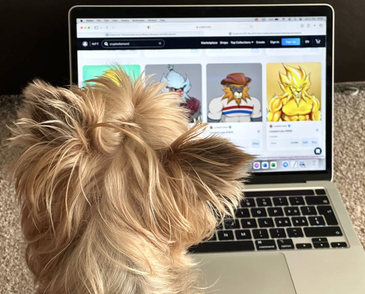 Csilla_cro's tweet photo. Have you already registered for your #LoadedLions subdomain? 🦁
Only a few days left!

1️⃣ Retweet the tweet below ⬇️

https://t.co/QWFM6CkZOy

2️⃣ Follow @LoadedLions_CDC, @cronos_identity, and @defi_wallet on Twitter

3️⃣ Register here: https://t.co/YwtMLUDWc1

📅 Complete all steps by 13 Aug 2023.

#cro #crofam #cryptocom #LoadedLions #cryptoirl @cryptocom @LoadedLions_CDC @SupremeShaney