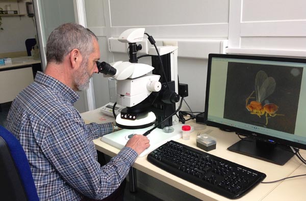 Best practices in #taxonomy are critical for addressing the current #biodiversitycrisis. Taxonomy needs to be rebranded to the scientific community as a modern, active and important discipline with sufficient funding and taxonomic researchers. #Entomology #Zoology #Museums