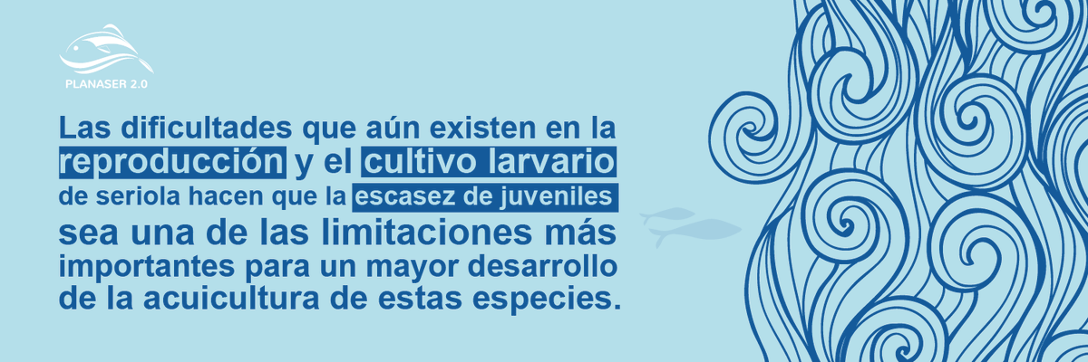 PLANASER 2.0 tweet media