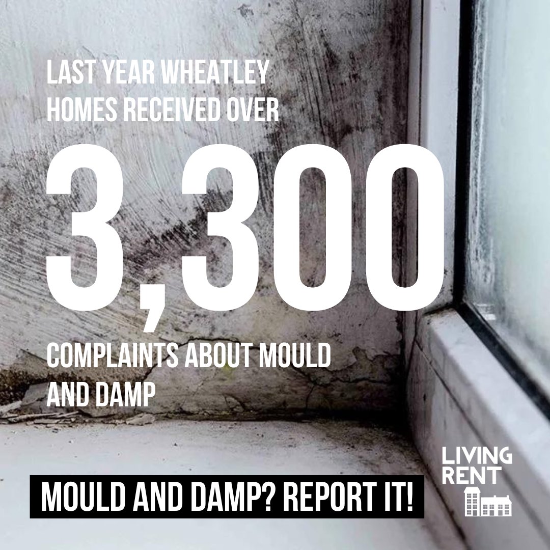 Last year, Wheatley Homes admitted that they had had over 3,300 complaints of mould and damp in their properties. No one should be living with damp and mould. That's why we are fighting back. Report your mould and damp! livingrent.org/report_your_mo…