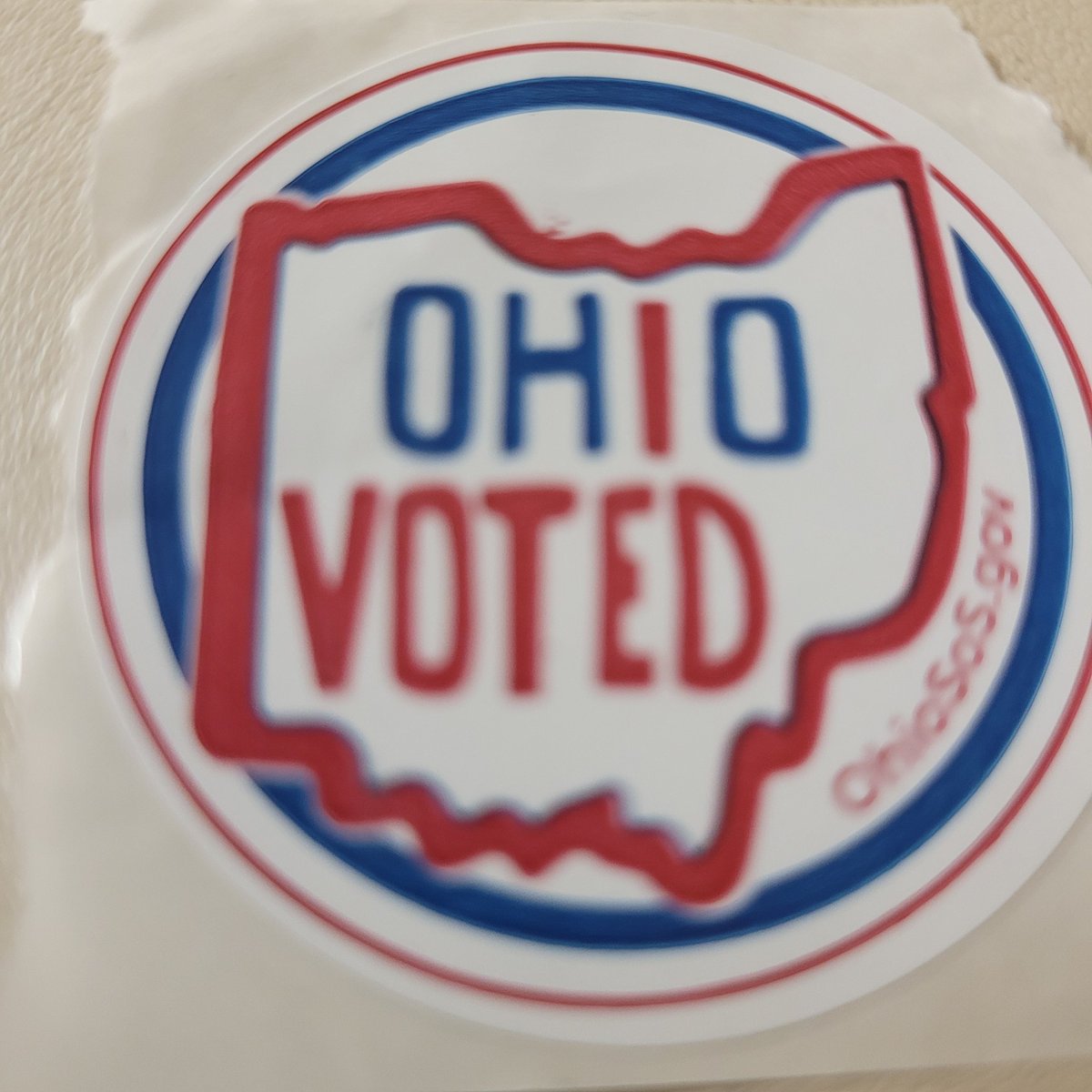 Stellabluez's tweet image. I'm proud of my fellow voters ! Just say No !