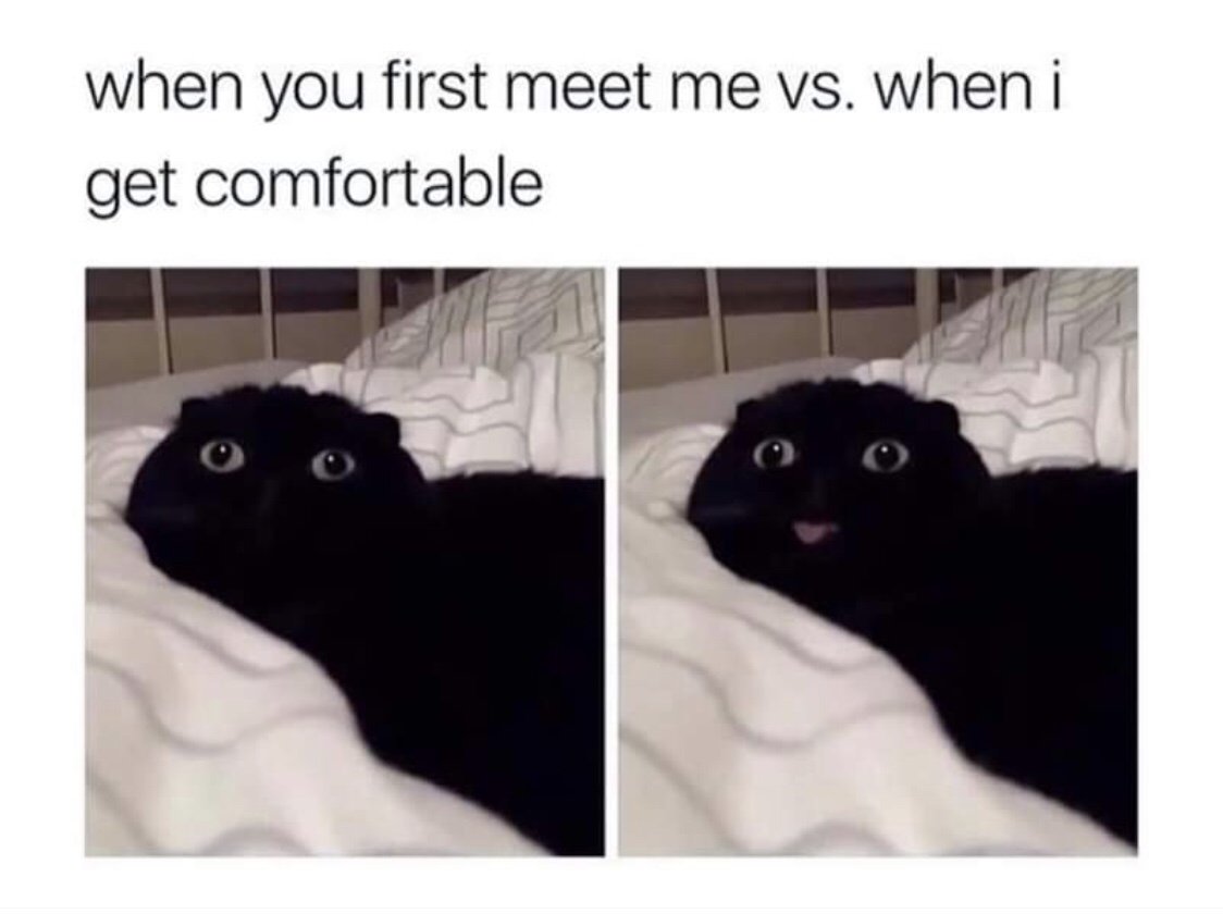 WholesomeMeme's tweet photo. https://t.co/Mk69Z0yVP2