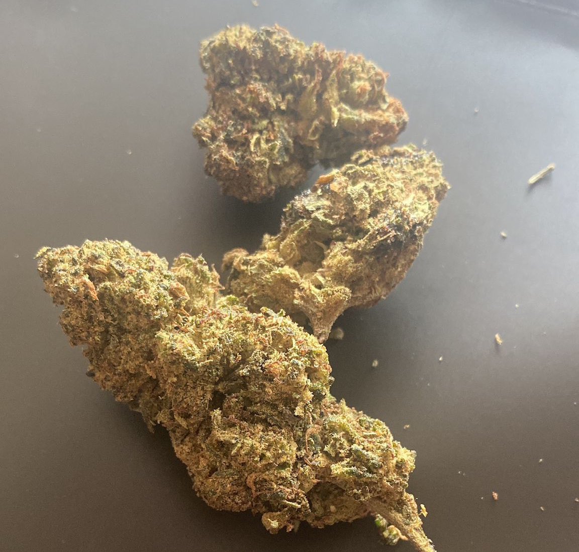 New Degen Order tweet media