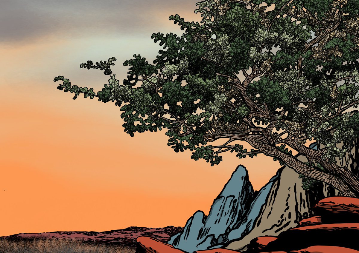 Steve Bee tweet media