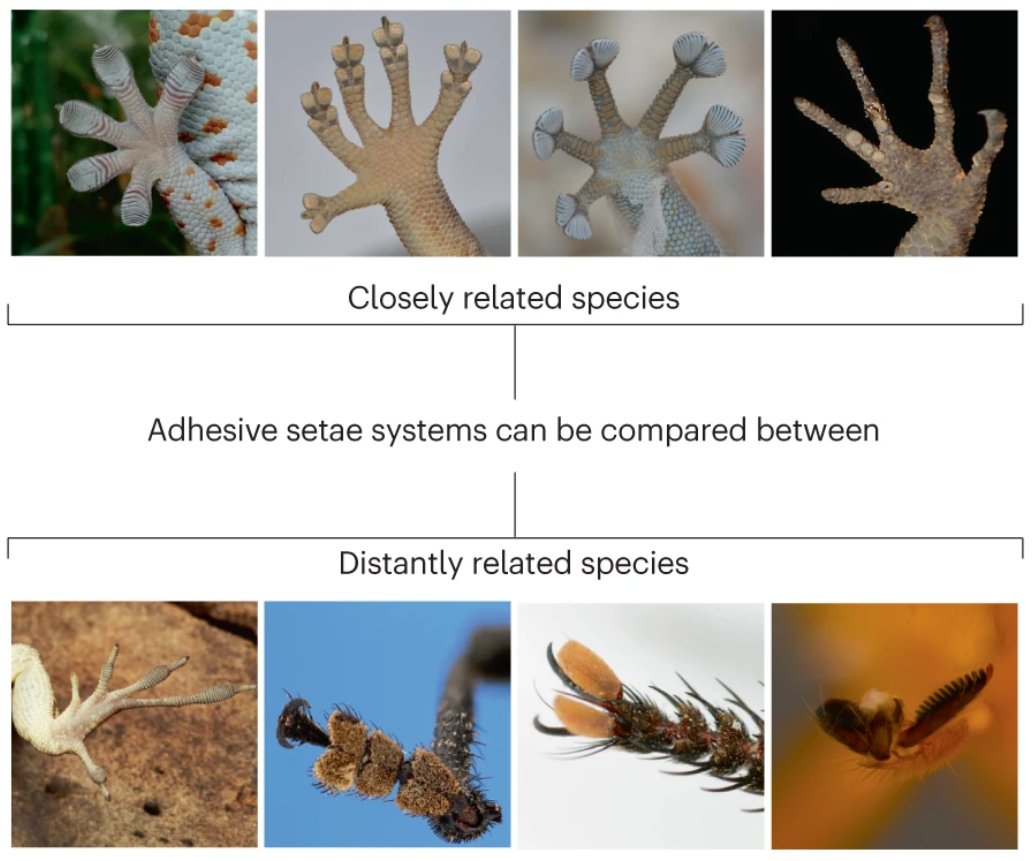 NatRevMaterials tweet media
