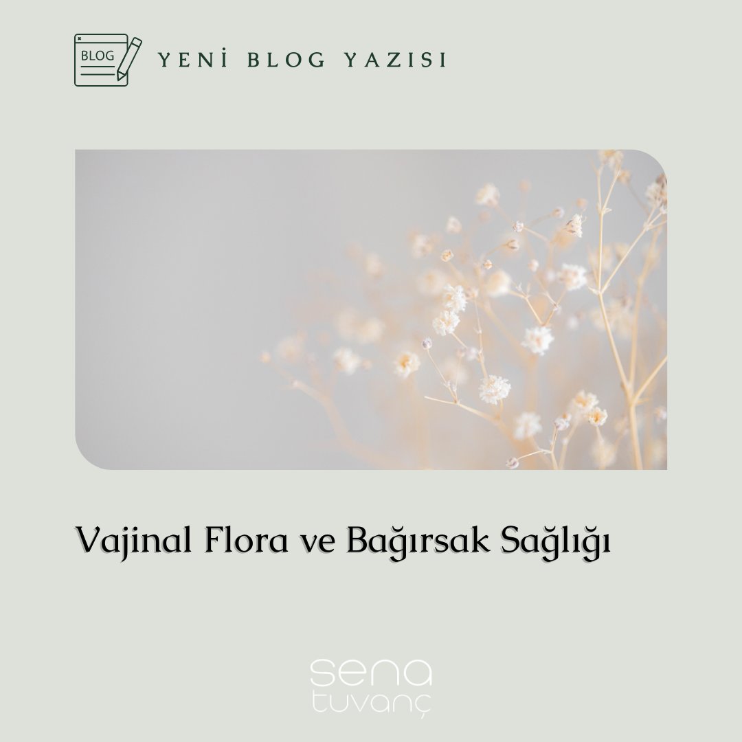 Senatuvanc's tweet photo. Yeni blog yazımız websitemizde yayında, Diyetisyen Ece Güler sizin için yazdı.

Hepsi ve daha fazlası için https://t.co/uuNLp7GV7X adresini ziyaret edin!😍

#senatuvanc #digitisyen #diyetisyen #onlinediyet #beslenmedanışmanlığı #senatuvancdiyetisyenleri https://t.co/Nxdhob3OfT