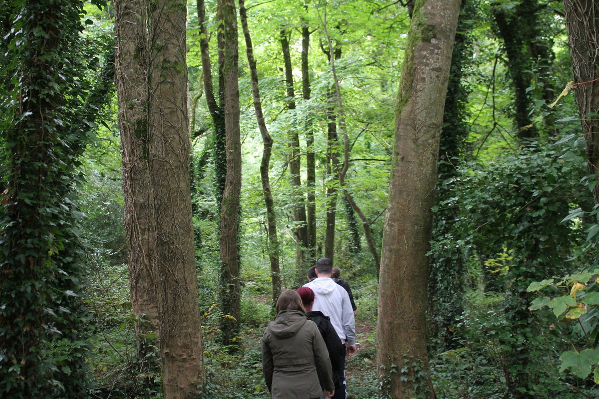 HealthyGalway's tweet photo. Some  beautiful photos, courtesy of Colin Stanley, of ''Woodlands for Health'' 

Woodlands for Health is a woodland-based, guided walking programme for adults availing of mental health services and supports

Spending time in nature can benefit your mental and physical wellbeing https://t.co/N0FBgwgbSI