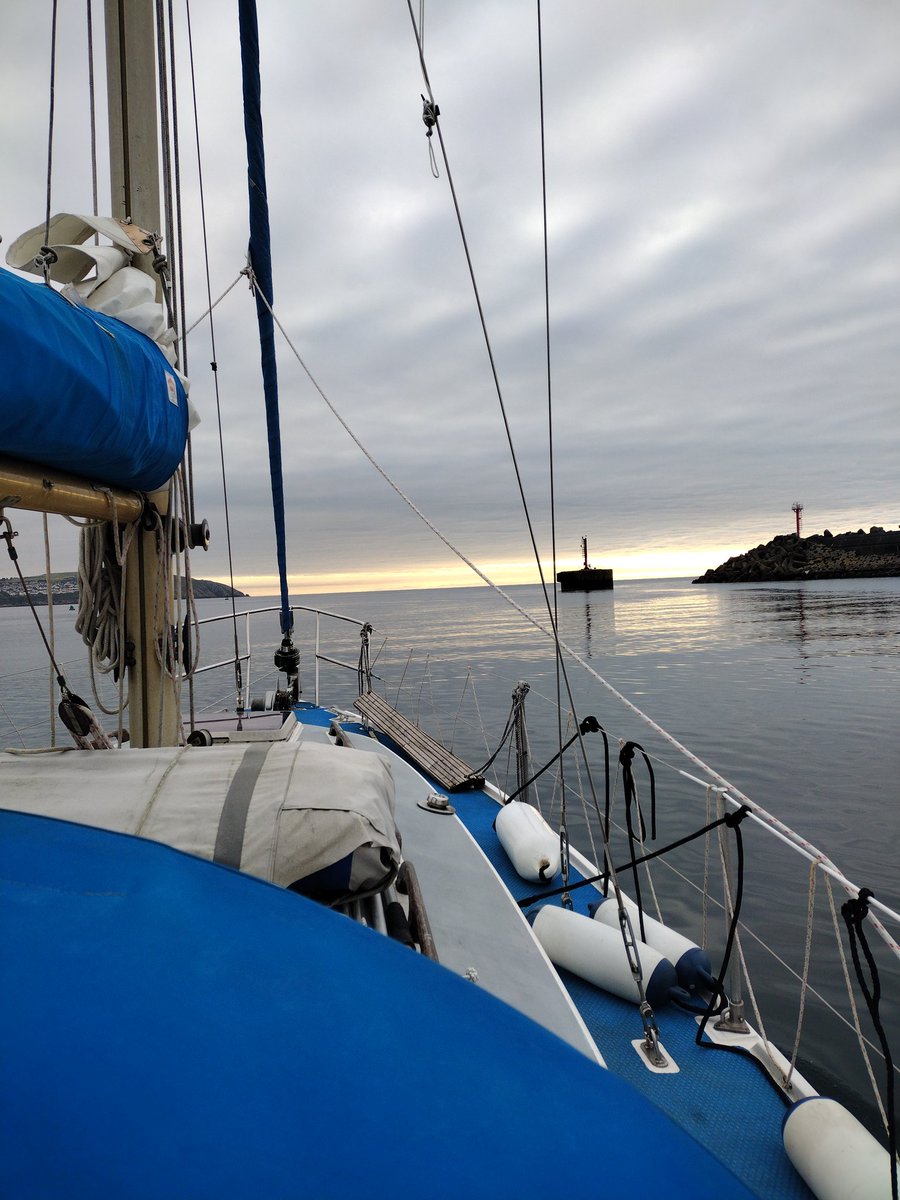JenHeard1's tweet photo. This morning we left Douglas harbour to head SW and quickly discovered a minke whale was travelling the same way. Half an hour watching a dorsal fin regularly break the surface about 100m away. Idyllic. #isleofman #manx #whalewatching #minkewhale #manxwhaleanddolphinwatch #mwdw https://t.co/53Iw1bPKOR
