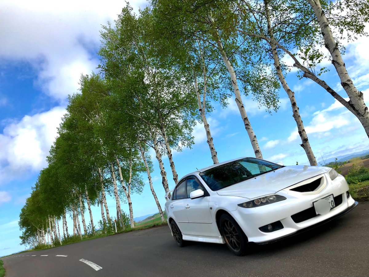 ishicoro37's tweet image. 「北海道　美瑛」
白樺並木で撮影しました
宜しくお願いします

#kobemazdaphoto80
#km2023summer #mazdagram #kobemazdagram 
#マツダグラム #神戸マツダグラム