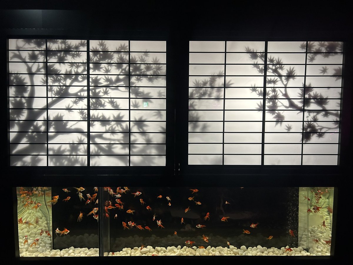 no humans fish scenery tree sliding doors goldfish window  illustration images
