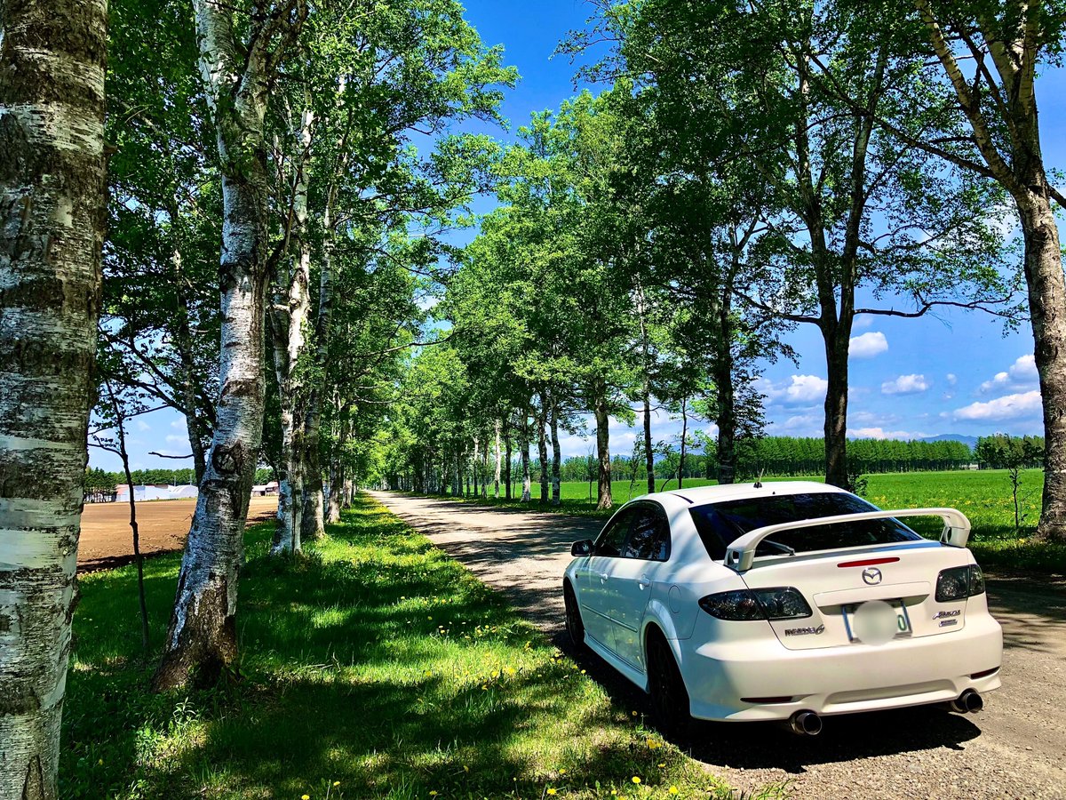 ishicoro37's tweet image. 北海道　十勝牧場で撮影しました
宜しくお願いします

#kobemazdaphoto80
#km2023summer #mazdagram #kobemazdagram 
#マツダグラム #神戸マツダグラム